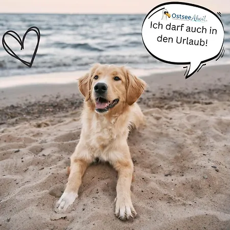 Auf Wolke 7 Von Ostseeahoi アパート ティメンドルファー・シュトラント